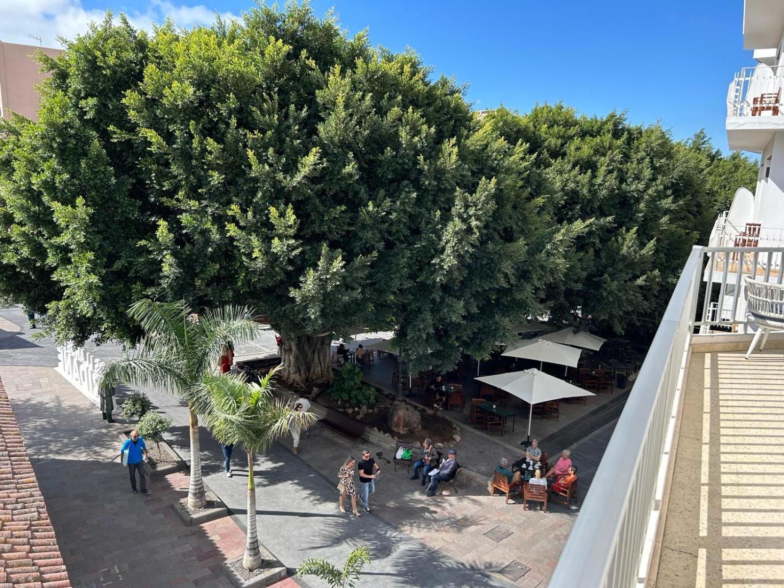 Vista Plaza - Exceptional Location Los Llanos De Aridane Exterior foto